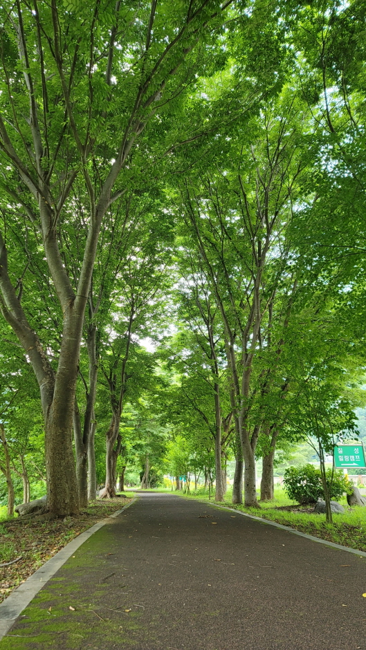 [강원평화누리자전거길 7코스] 화천 한묵령길 여행 추천 - 메고지고