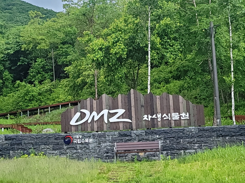 [강원평화누리자전거길 12코스] 양구 펀치볼길 여행 추천 - 메고지고