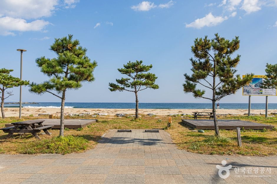 [강원평화누리자전거길 19코스] 고성 통일로 가는길 여행 추천 - 메고지고