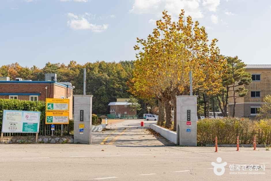 [강원평화누리자전거길 20코스] 화진포 석호둘레길 여행 추천 - 메고지고