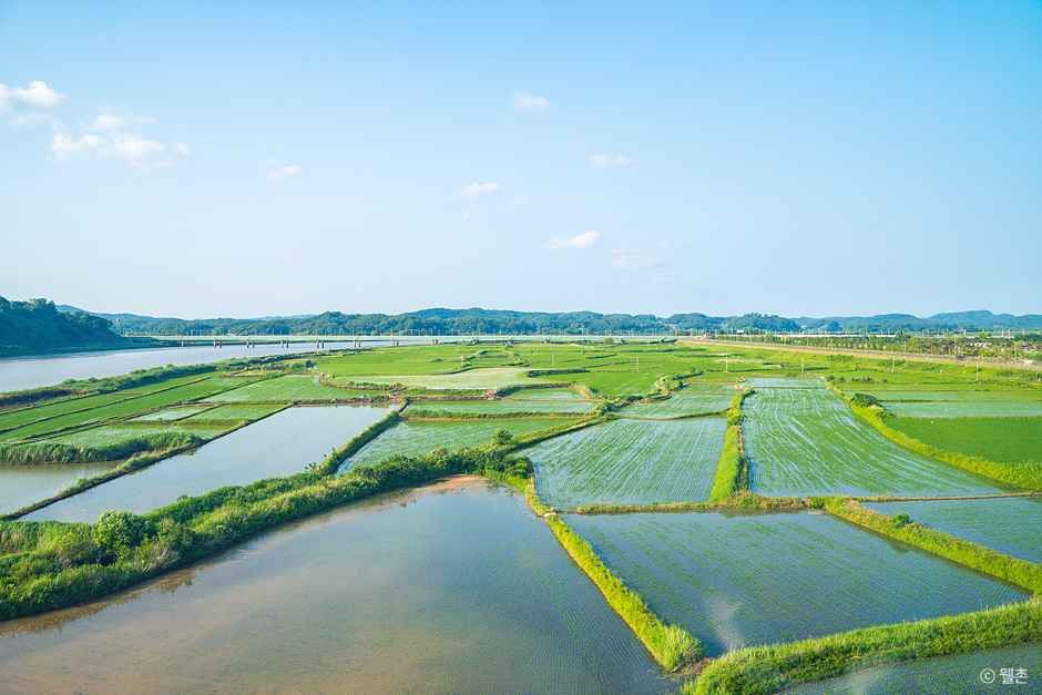 파주 장단콩마을 여행 추천 - 메고지고