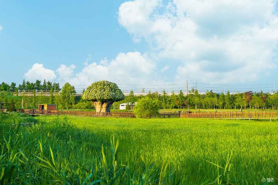 파주 장단콩마을 여행 추천 - 메고지고