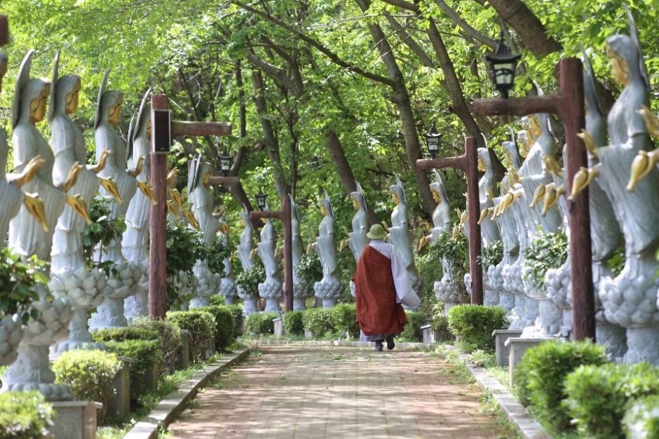 수암사(의령) 여행 추천 - 메고지고 수암사(의령) 여행 추천 - 메고지고