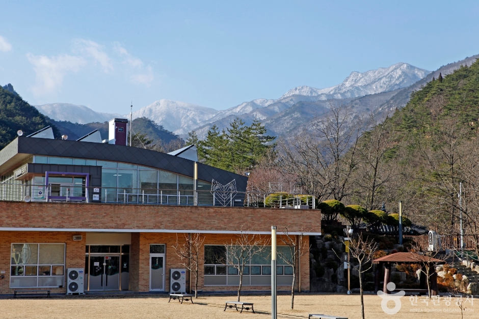 동해무릉건강숲 여행 추천 - 메고지고 동해무릉건강숲 여행 추천 - 메고지고
