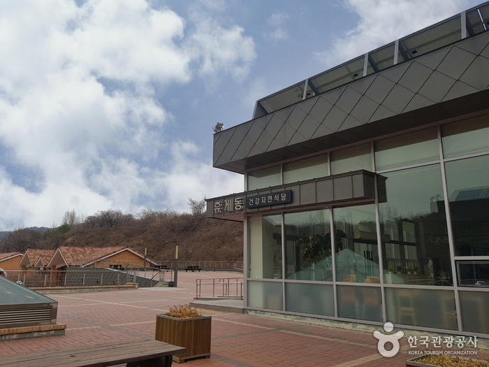 동해무릉건강숲 여행 추천 - 메고지고 동해무릉건강숲 여행 추천 - 메고지고