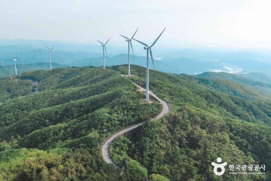 태기산 여행 추천 - 메고지고 태기산 여행 추천 - 메고지고