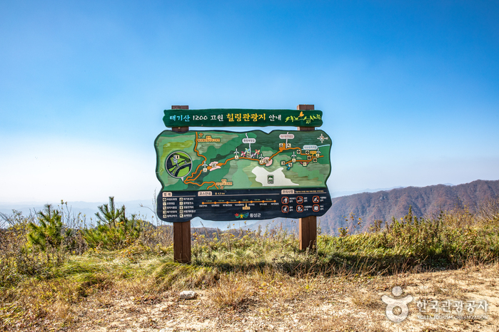 태기산 여행 추천 - 메고지고 태기산 여행 추천 - 메고지고