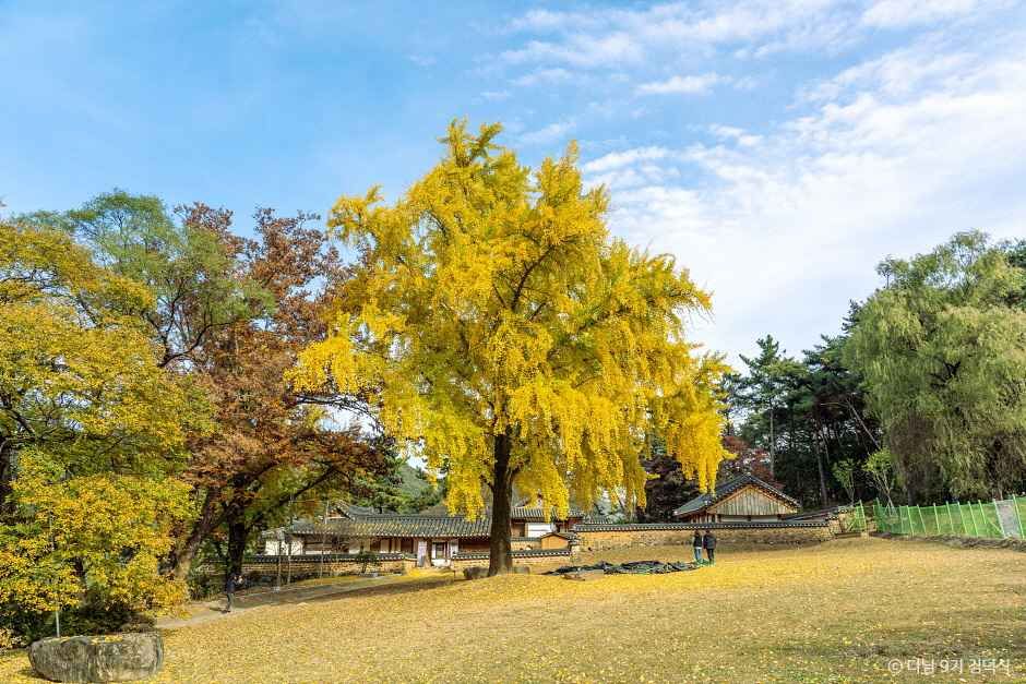 밀양 오연정 여행 추천 - 메고지고 밀양 오연정 여행 추천 - 메고지고