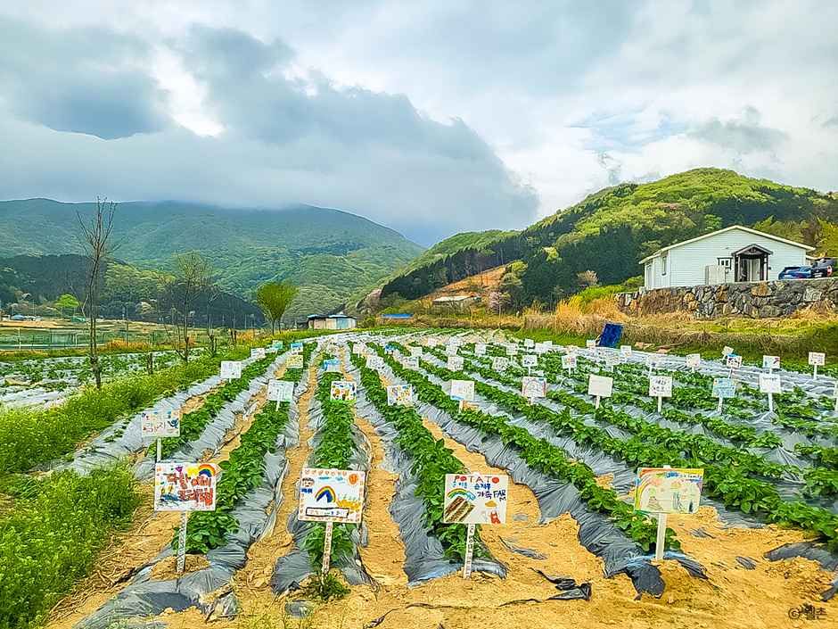삼거동 청사초롱 체험마을 여행 추천 - 메고지고 삼거동 청사초롱 체험마을 여행 추천 - 메고지고