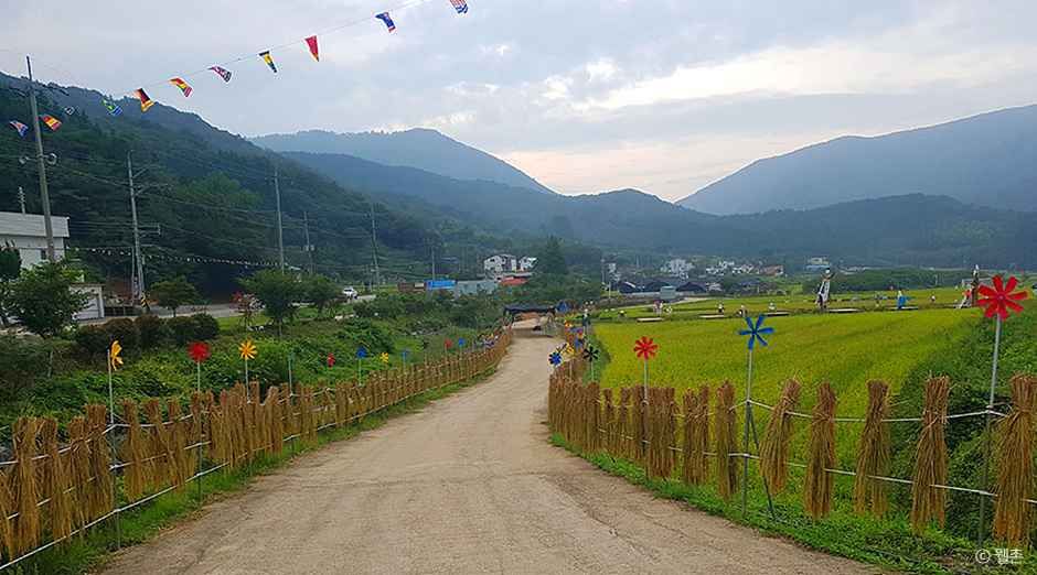 삼거동 청사초롱 체험마을 여행 추천 - 메고지고 삼거동 청사초롱 체험마을 여행 추천 - 메고지고