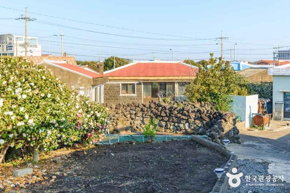 신양마을 여행 추천 - 메고지고