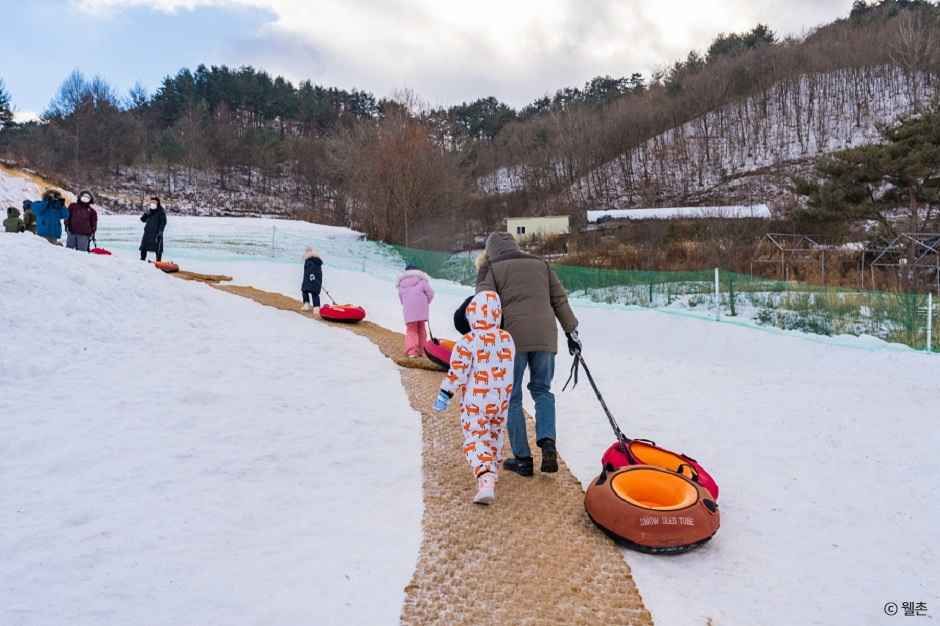 대관령 눈꽃마을 여행 추천 - 메고지고 대관령 눈꽃마을 여행 추천 - 메고지고