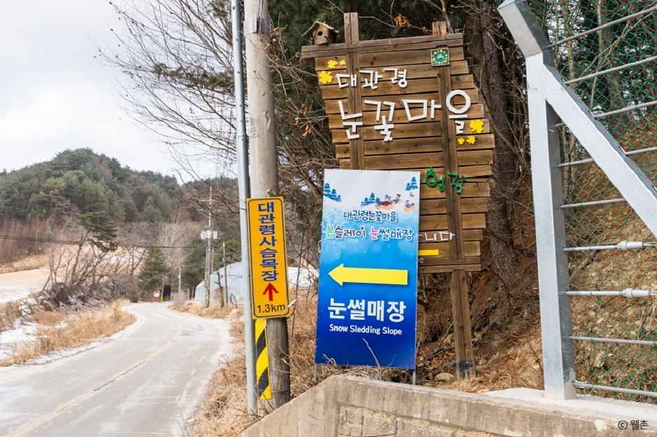 대관령 눈꽃마을 여행 추천 - 메고지고 대관령 눈꽃마을 여행 추천 - 메고지고