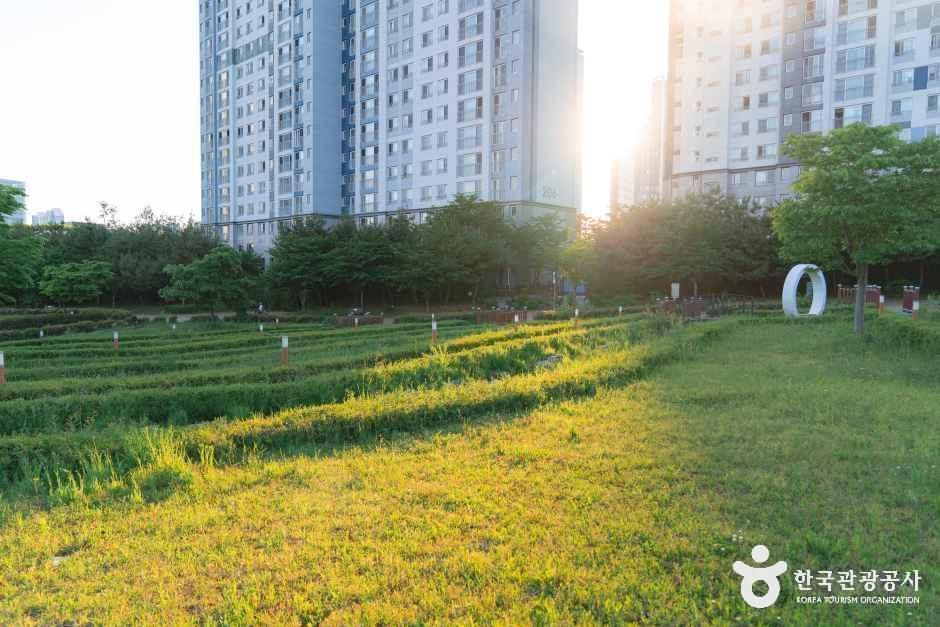 푸른뜰근린공원 여행 추천 - 메고지고 푸른뜰근린공원 여행 추천 - 메고지고