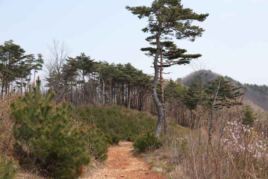 [백두대간 동해소금길 제2코스] 이기령 더바지길 여행 추천 - 메고지고