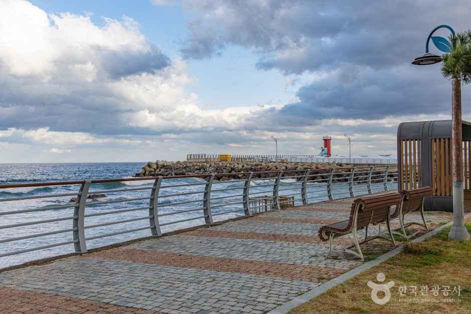 설악해맞이공원 여행 추천 - 메고지고 설악해맞이공원 여행 추천 - 메고지고