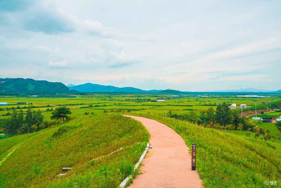 두루미평화마을 여행 추천 - 메고지고 두루미평화마을 여행 추천 - 메고지고