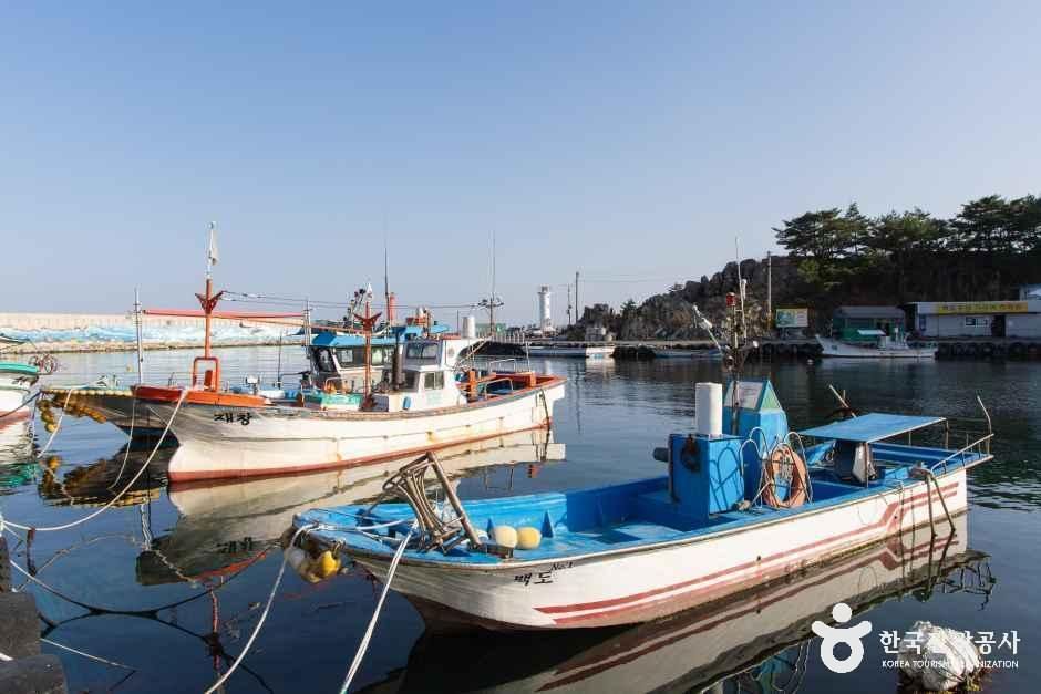 백도항(문암1리항) 여행 추천 - 메고지고 백도항(문암1리항) 여행 추천 - 메고지고