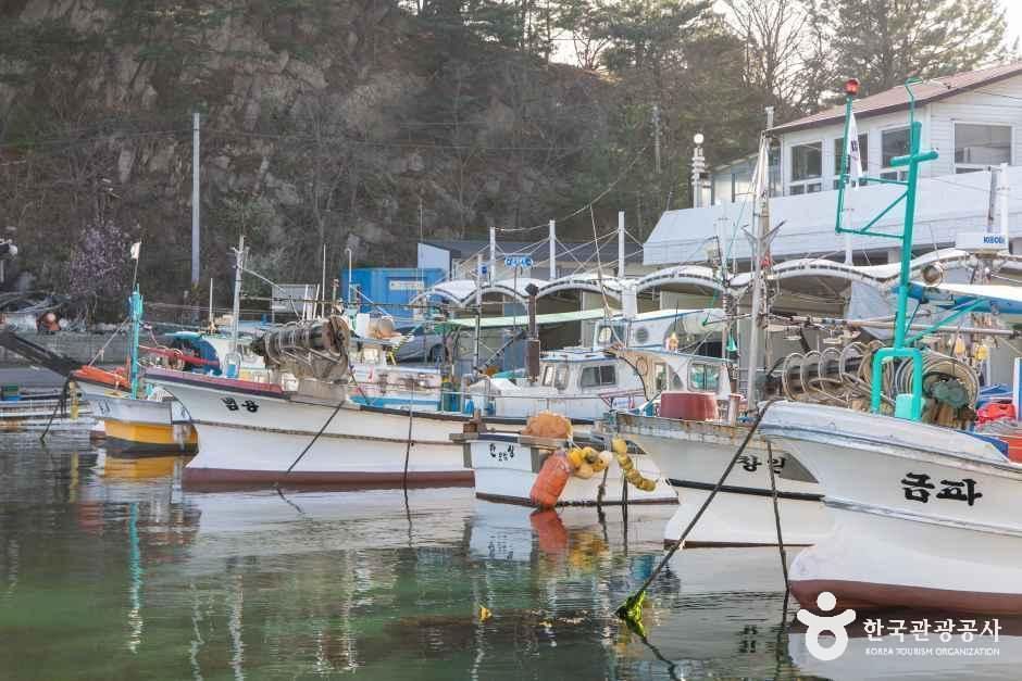 백도항(문암1리항) 여행 추천 - 메고지고 백도항(문암1리항) 여행 추천 - 메고지고