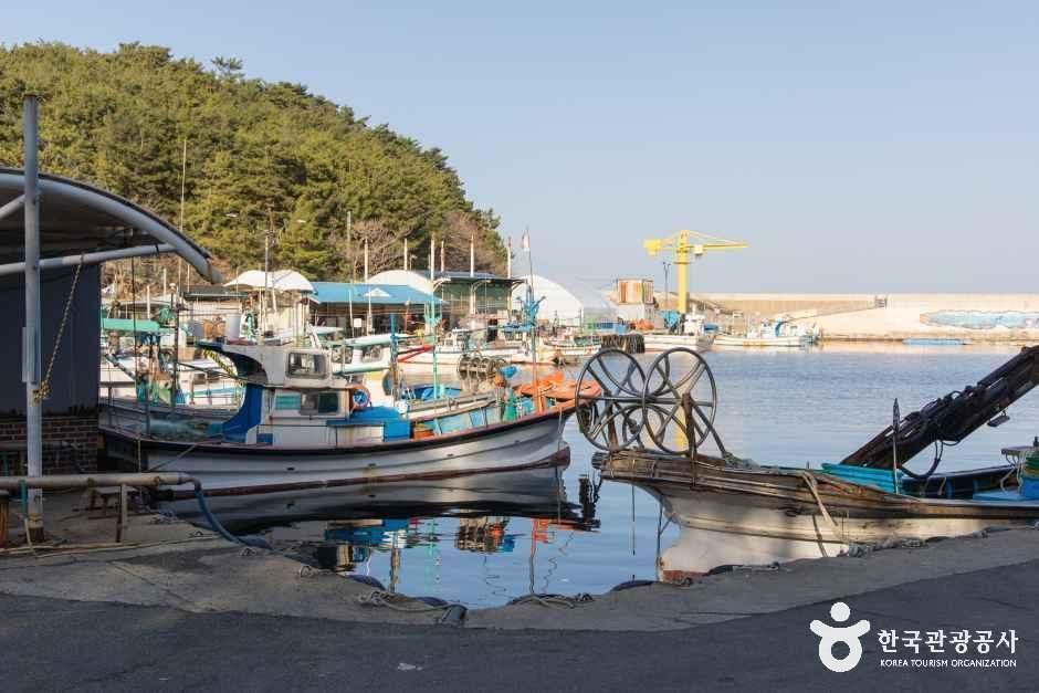 백도항(문암1리항) 여행 추천 - 메고지고 백도항(문암1리항) 여행 추천 - 메고지고