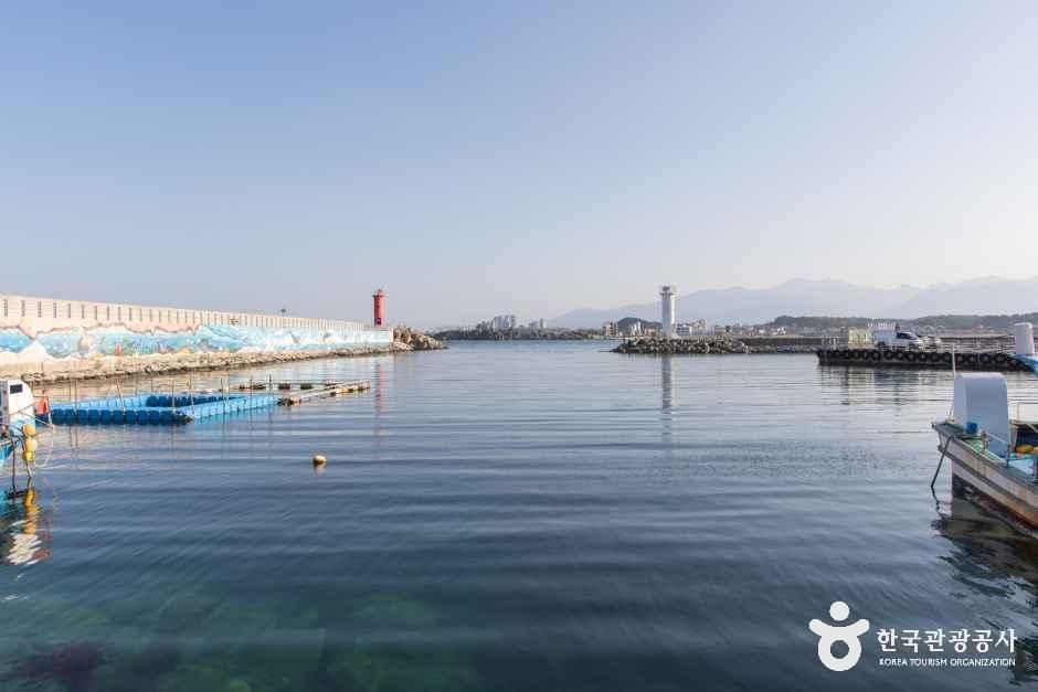 백도항(문암1리항) 여행 추천 - 메고지고 백도항(문암1리항) 여행 추천 - 메고지고
