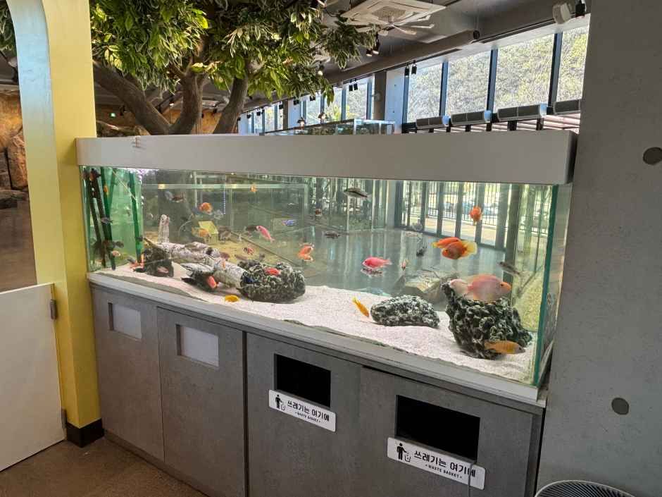 와글와글 동물원 여행 추천 - 메고지고 와글와글 동물원 여행 추천 - 메고지고