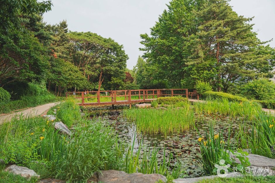 남산 야외식물원 여행 추천 - 메고지고 남산 야외식물원 여행 추천 - 메고지고