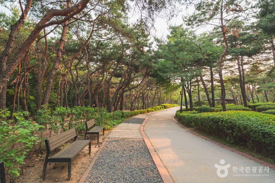 남산 야외식물원 여행 추천 - 메고지고 남산 야외식물원 여행 추천 - 메고지고