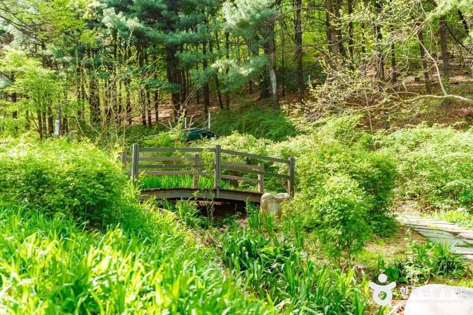 [양천구 둘레길] 산림형코스 여행 추천 - 메고지고