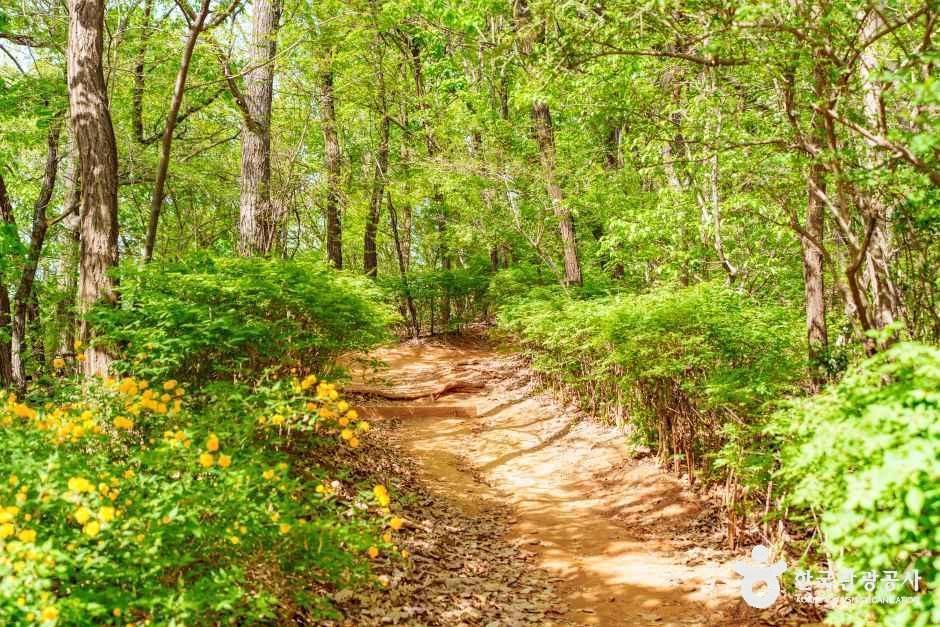 [양천구 둘레길] 산림형코스 여행 추천 - 메고지고