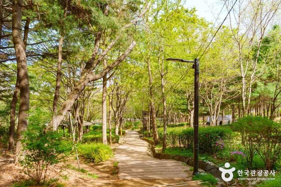 [양천구 둘레길] 산림형코스 여행 추천 - 메고지고