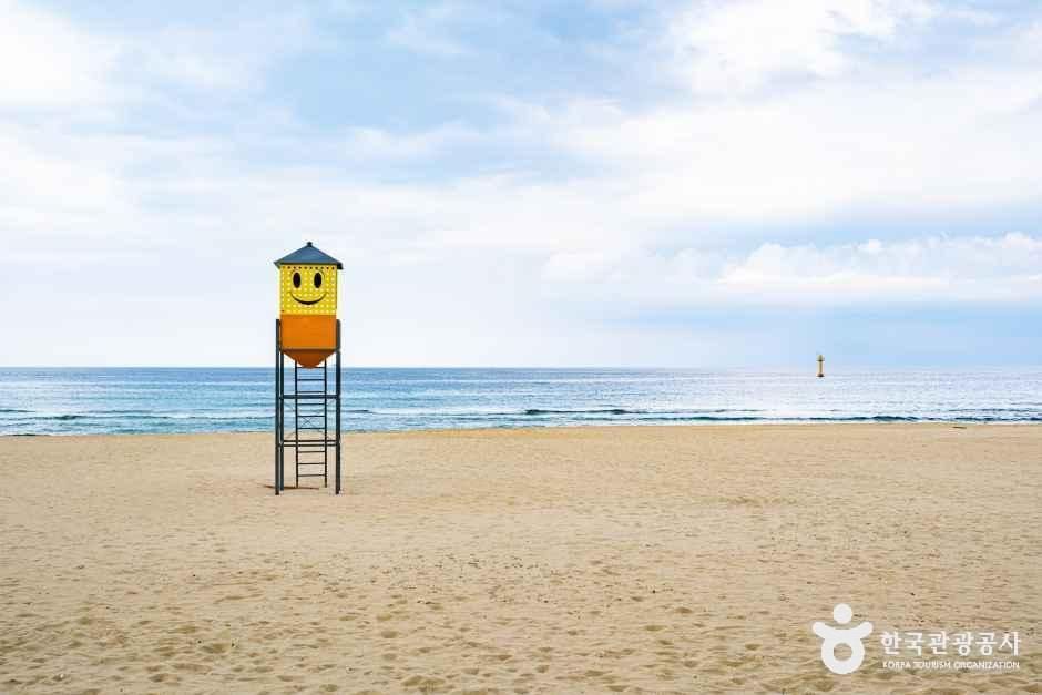 증산해변 여행 추천 - 메고지고