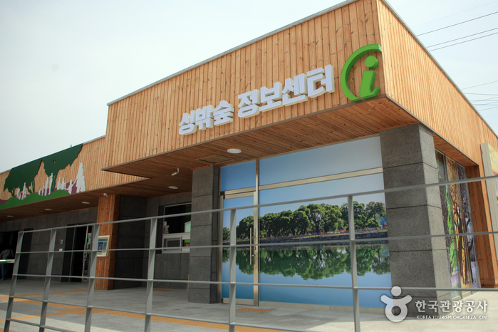 성주 경산리 성밖숲 여행 추천 - 메고지고