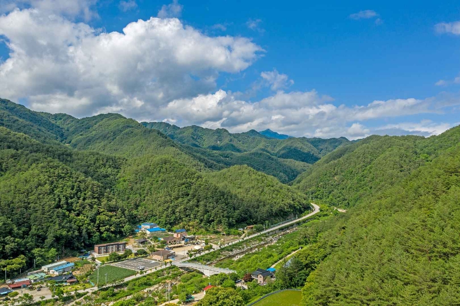 하추리산촌마을 여행 추천 - 메고지고 하추리산촌마을 여행 추천 - 메고지고
