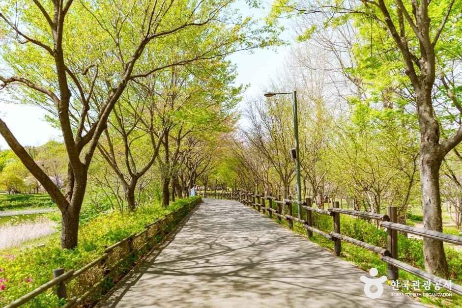[양천구 둘레길] 도심형코스 여행 추천 - 메고지고