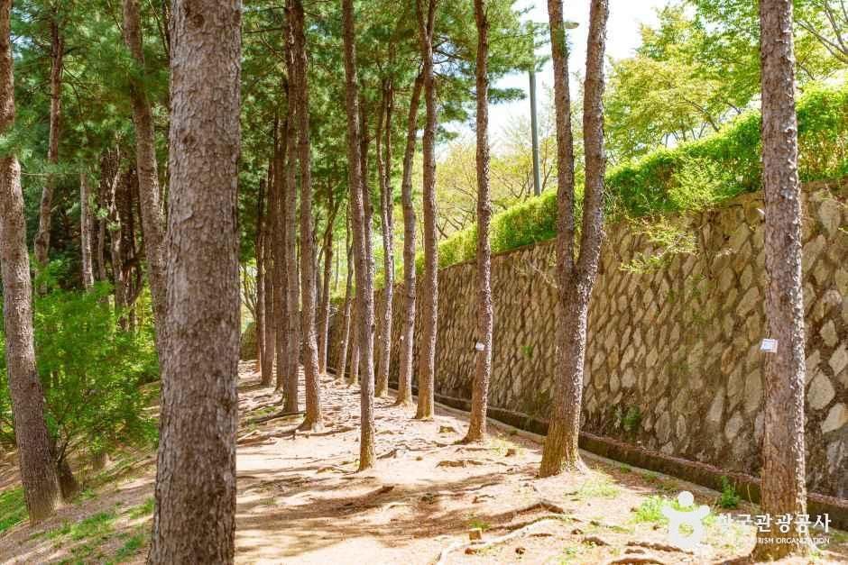[양천구 둘레길] 도심형코스 여행 추천 - 메고지고