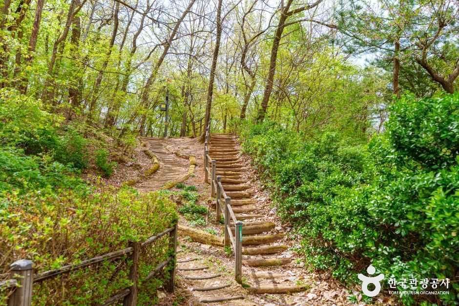 구로올레길 여행 추천 - 메고지고 구로올레길 여행 추천 - 메고지고