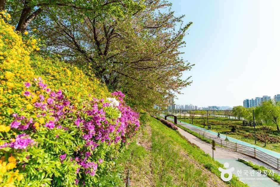 구로올레길 여행 추천 - 메고지고 구로올레길 여행 추천 - 메고지고