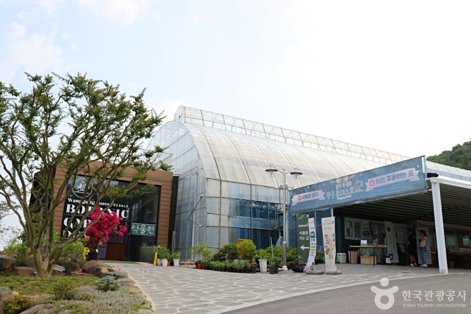 왕궁 포레스트 여행 추천 - 메고지고 왕궁 포레스트 여행 추천 - 메고지고