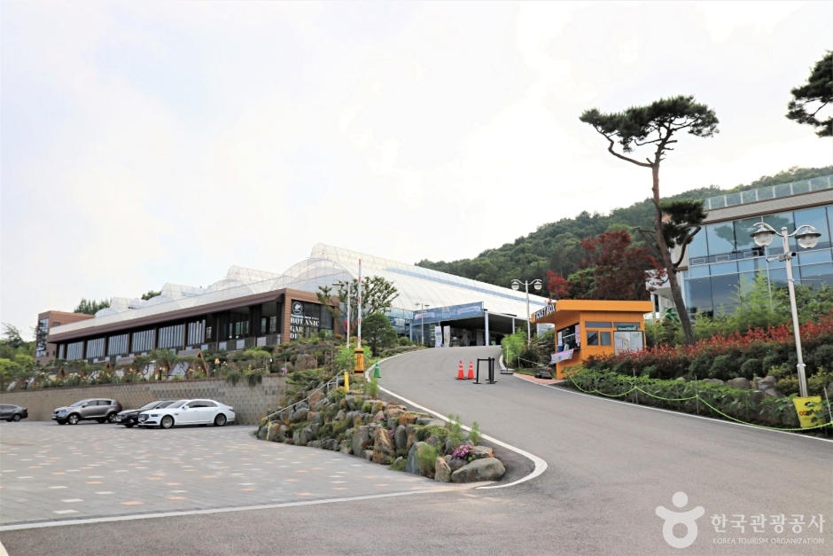 왕궁 포레스트 여행 추천 - 메고지고 왕궁 포레스트 여행 추천 - 메고지고