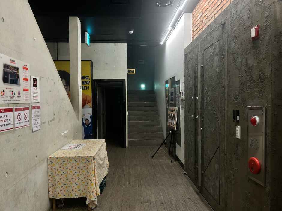 아트포레스트 여행 추천 - 메고지고