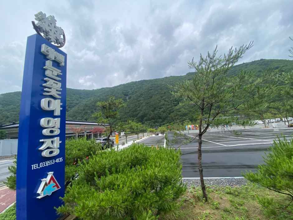 태백눈꽃야영장 여행 추천 - 메고지고 태백눈꽃야영장 여행 추천 - 메고지고
