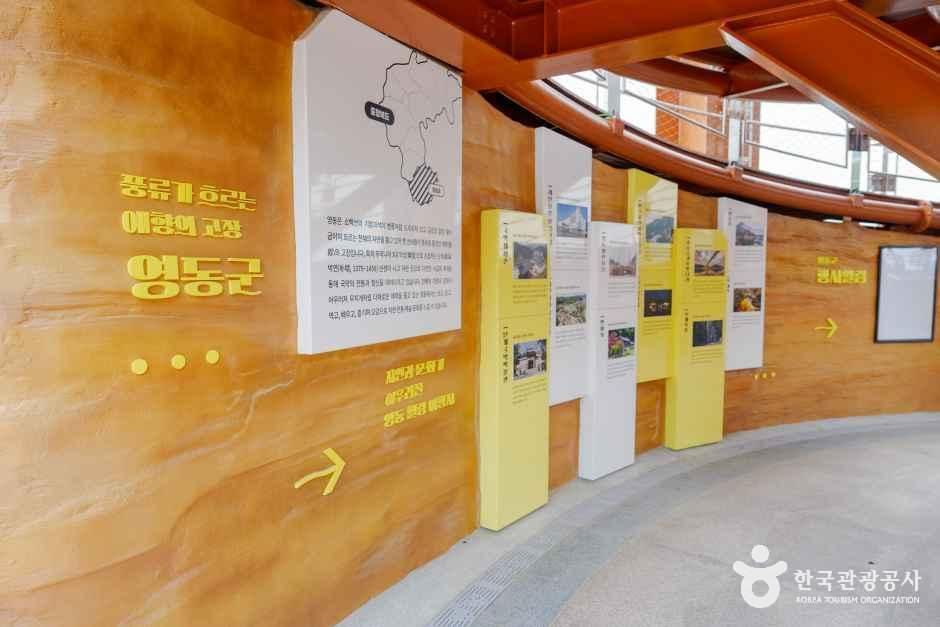 영동와인전망대 여행 추천 - 메고지고 영동와인전망대 여행 추천 - 메고지고