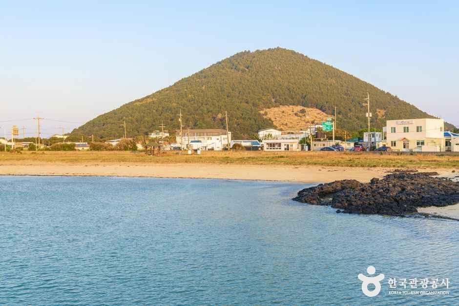 종달항(두문포항) 여행 추천 - 메고지고