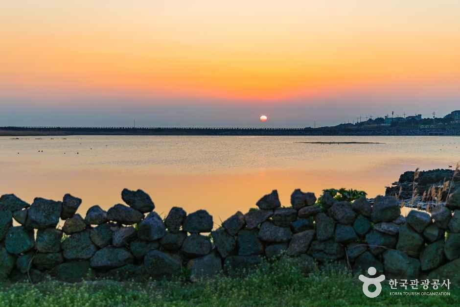 하도리 철새도래지 여행 추천 - 메고지고 하도리 철새도래지 여행 추천 - 메고지고