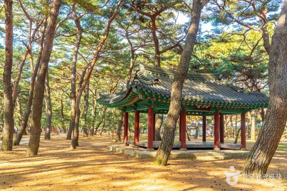지리산 별천지마을 여행 추천 - 메고지고