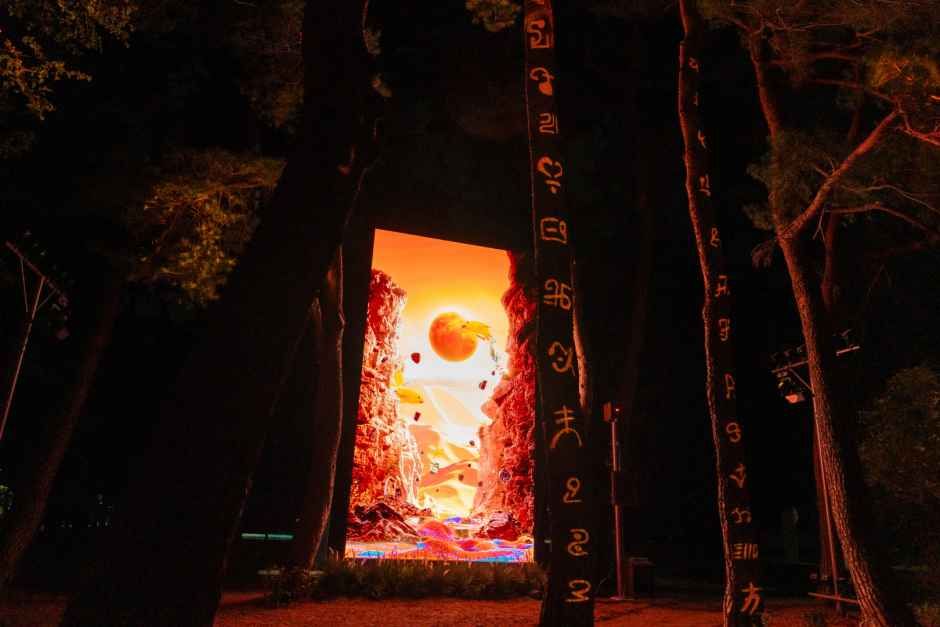 하슬라강릉 이머시브아트쇼 여행 추천 - 메고지고