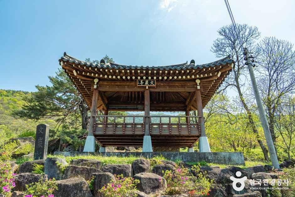 하동 축지리 문암송(악양문암송) 여행 추천 - 메고지고