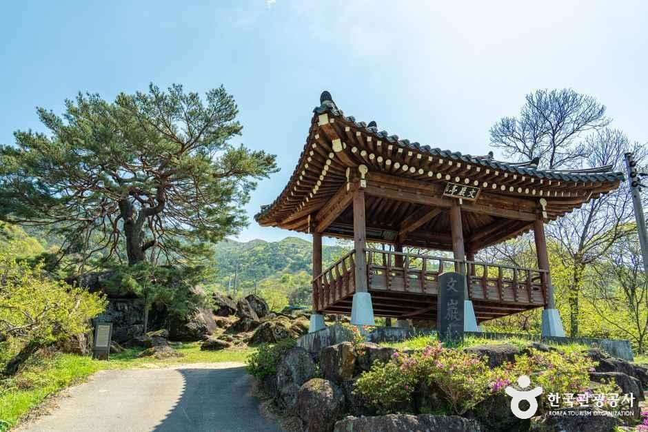 하동 축지리 문암송(악양문암송) 여행 추천 - 메고지고