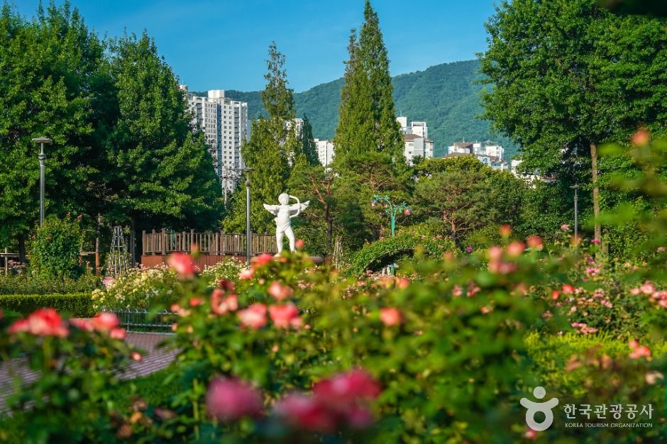 장미공원(창원) 여행 추천 - 메고지고